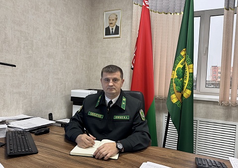 Прямая телефонная линия главного лесничего Крячко В.А. 